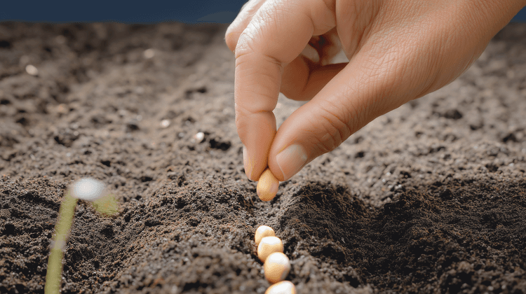 innovation-plant-breeders