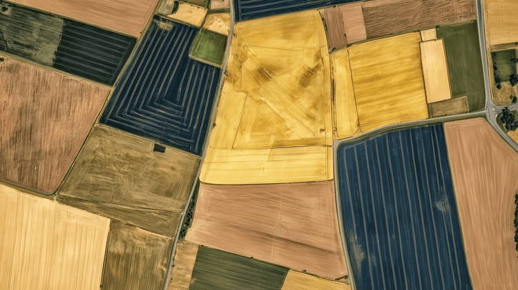 Types of Trade Marks