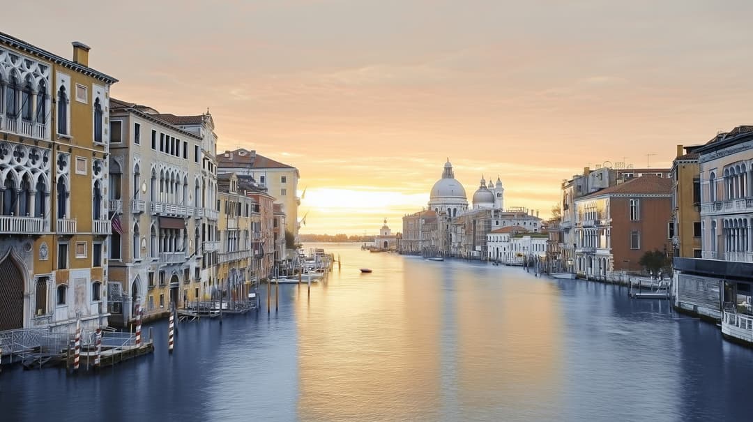 Expert patent attorney services