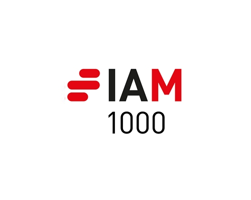 IAM Patent 1000 2025